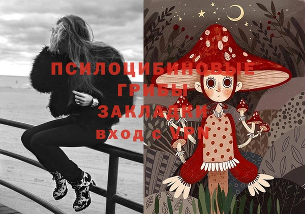 прущие крисы Гусиноозёрск