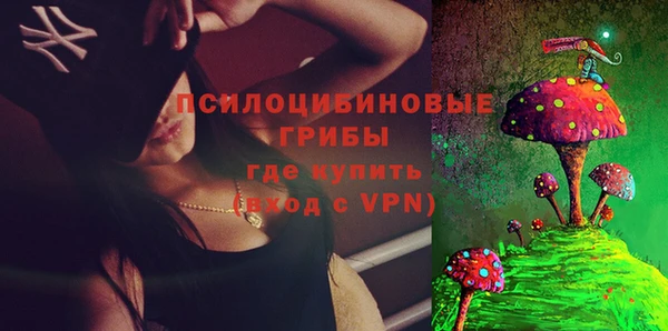 прущая мука Гусев