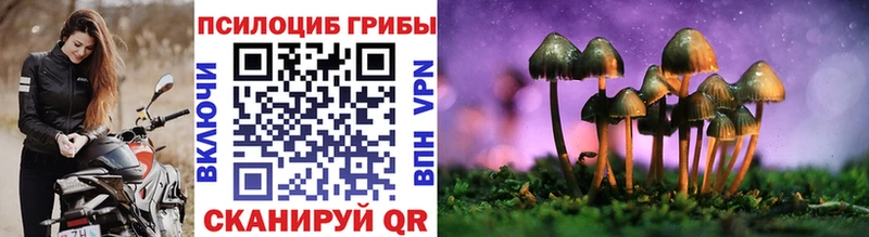 Псилоцибиновые грибы мухоморы Покровск